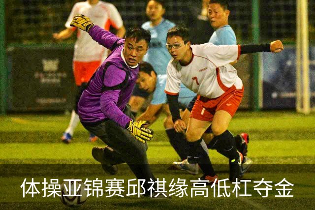 体操亚锦赛邱祺缘高低杠夺金